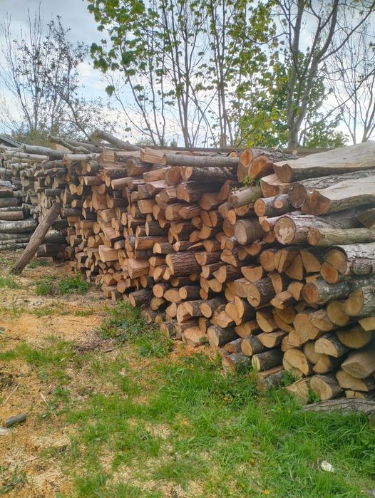 Drzewo łupane opałowe