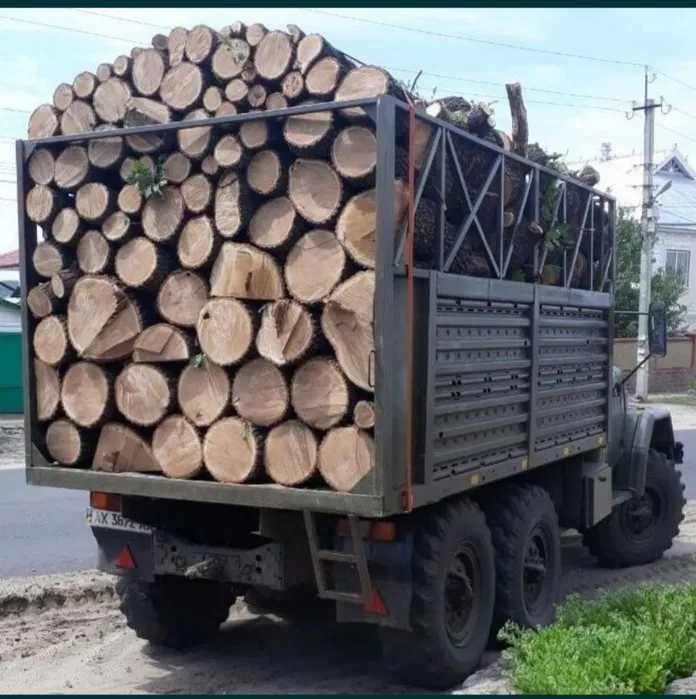 Дрова дубовые без примесей из лесничества Харьков и область