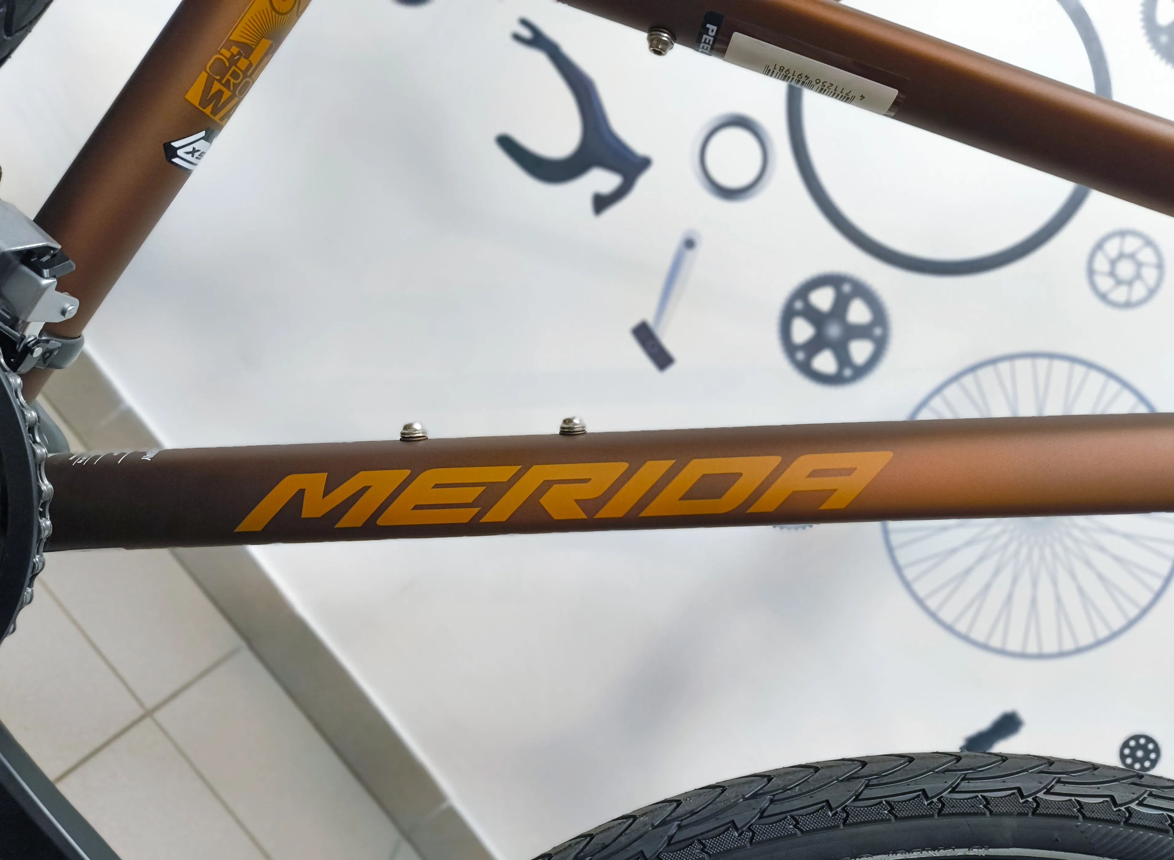 Rower Merida Crossway 100 Lady 2025