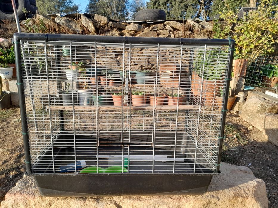 Gaiola Para Pássaros