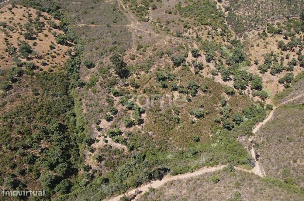 Terreno Rústico em Cadaval com 7.360m2 em S.B.Messines