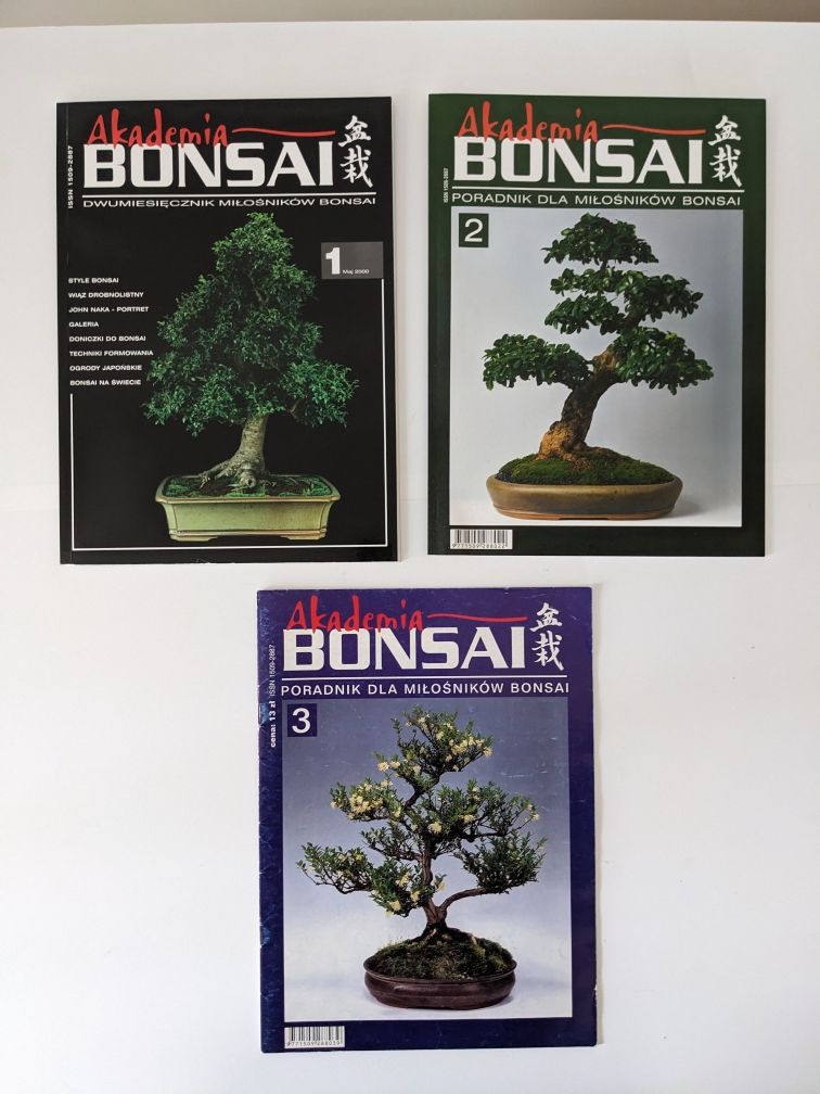 Bonsai Focus czasopisma