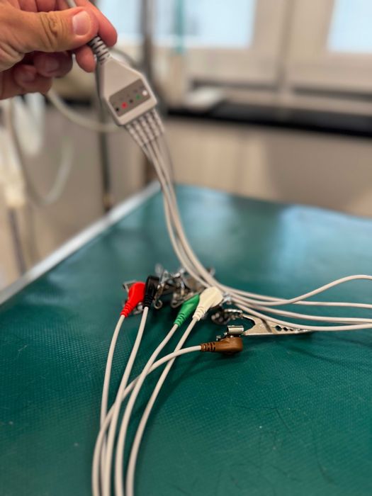 Kardiomonitor weterynaryjny dla zwierząt, monitor funkcji życiowych