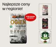 Węgiel Groszek ULTRA Ogień