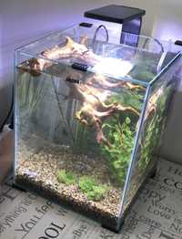Akwarium Aquael 30 l z osprzetem + szafka pod akwarium