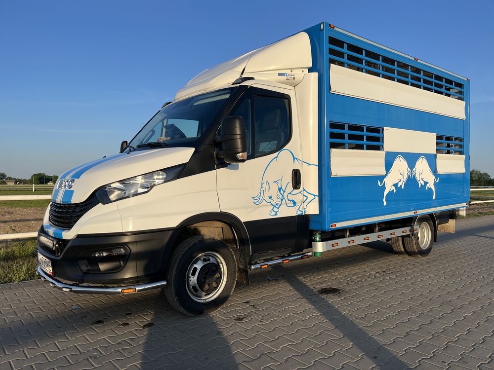 Zamiana Iveco Daily 50C18 ( do bydła, żywca, zwierząt, koni)