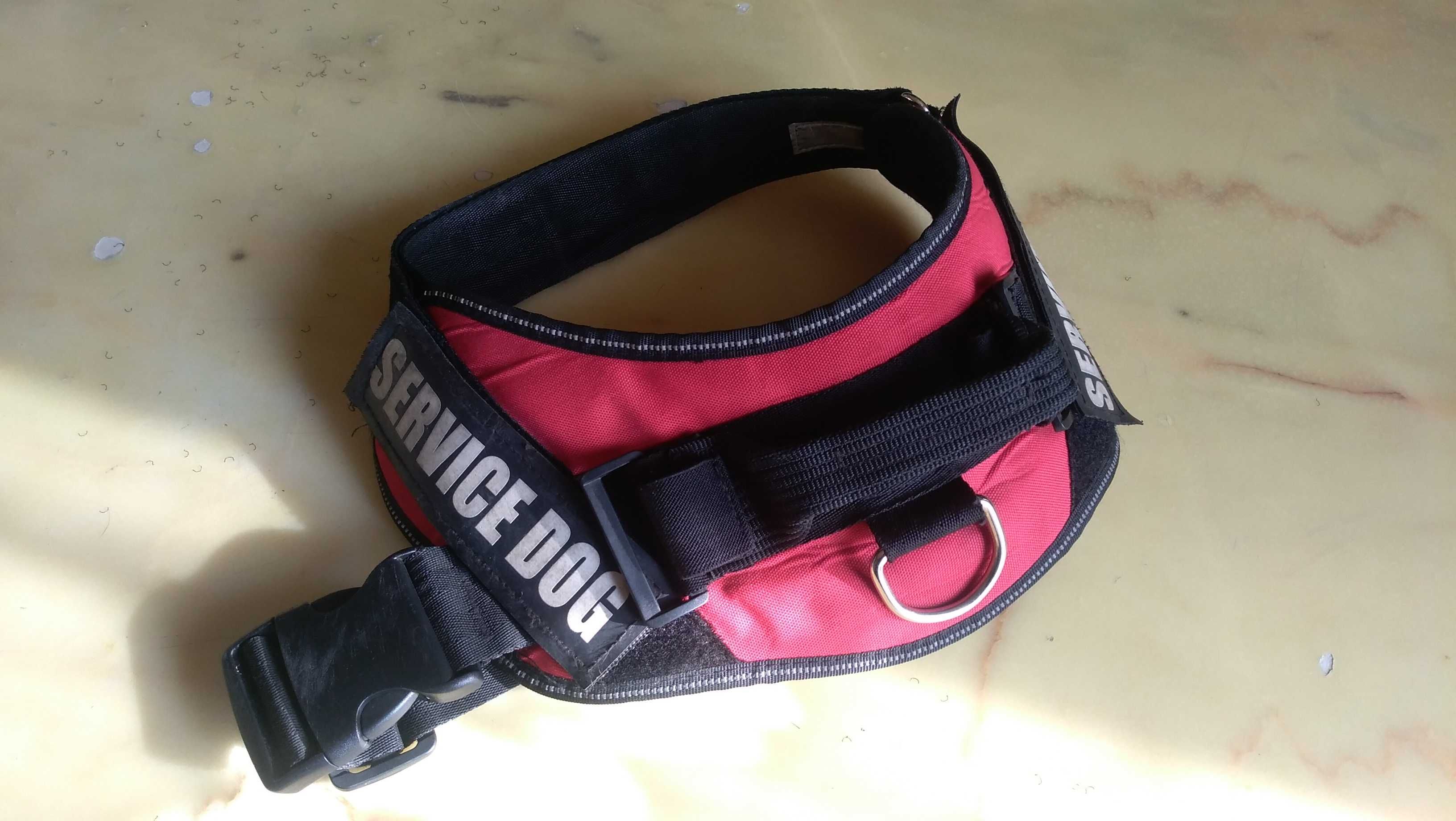 крутой ошейник для собаки Service Dog