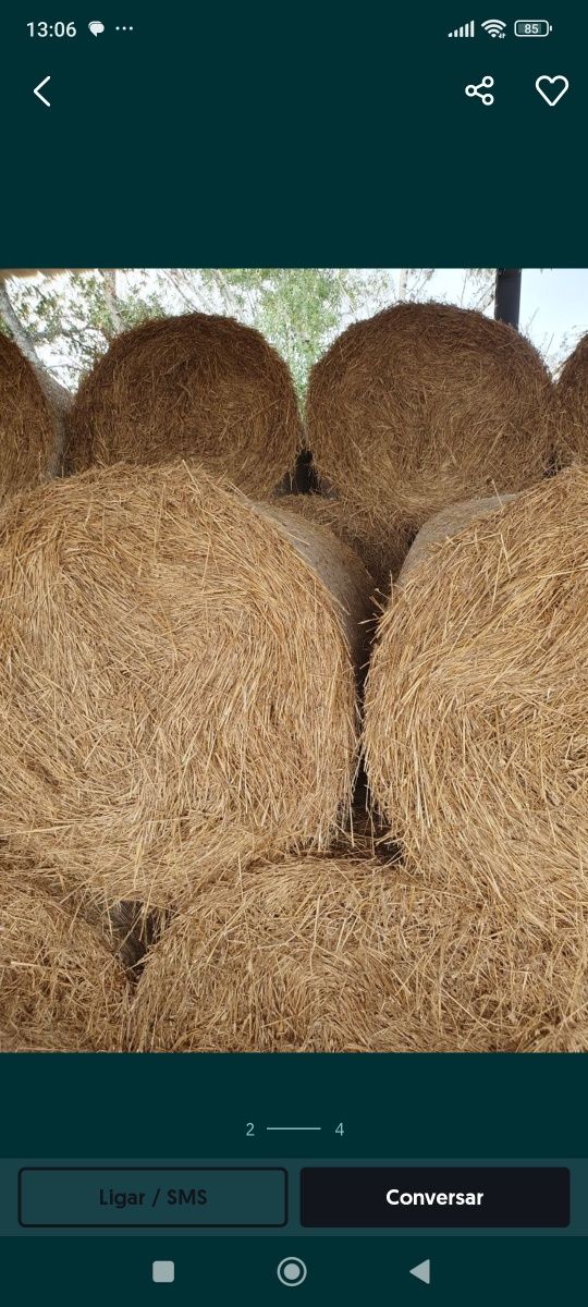Fardos de aveia e milhã