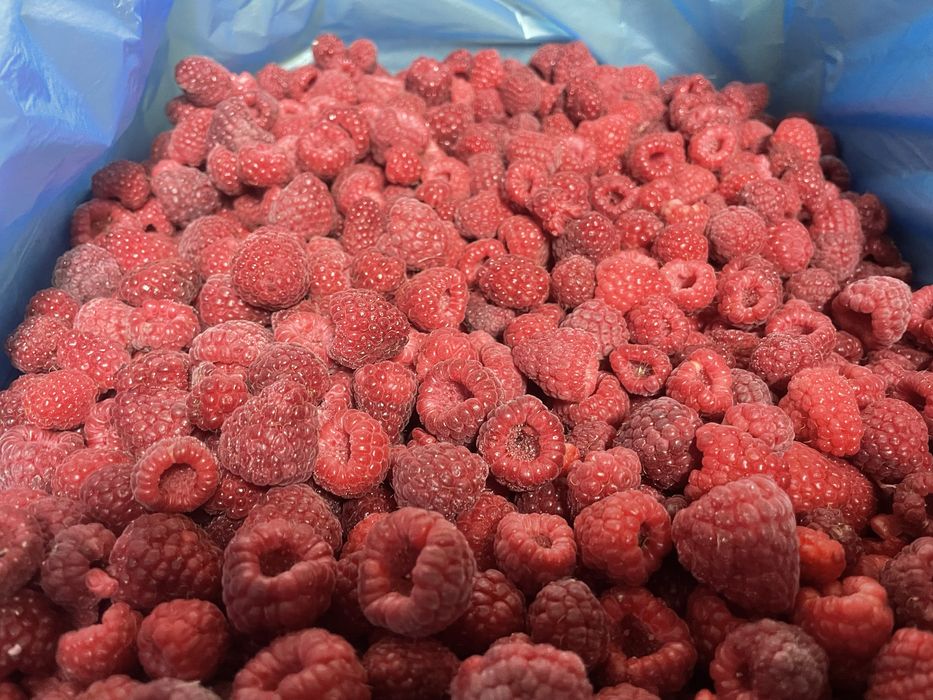 Малина морожена. 90/10