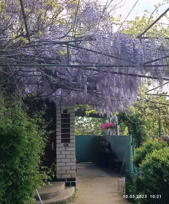 Предлагается к продаже дом.Село:Граденицы