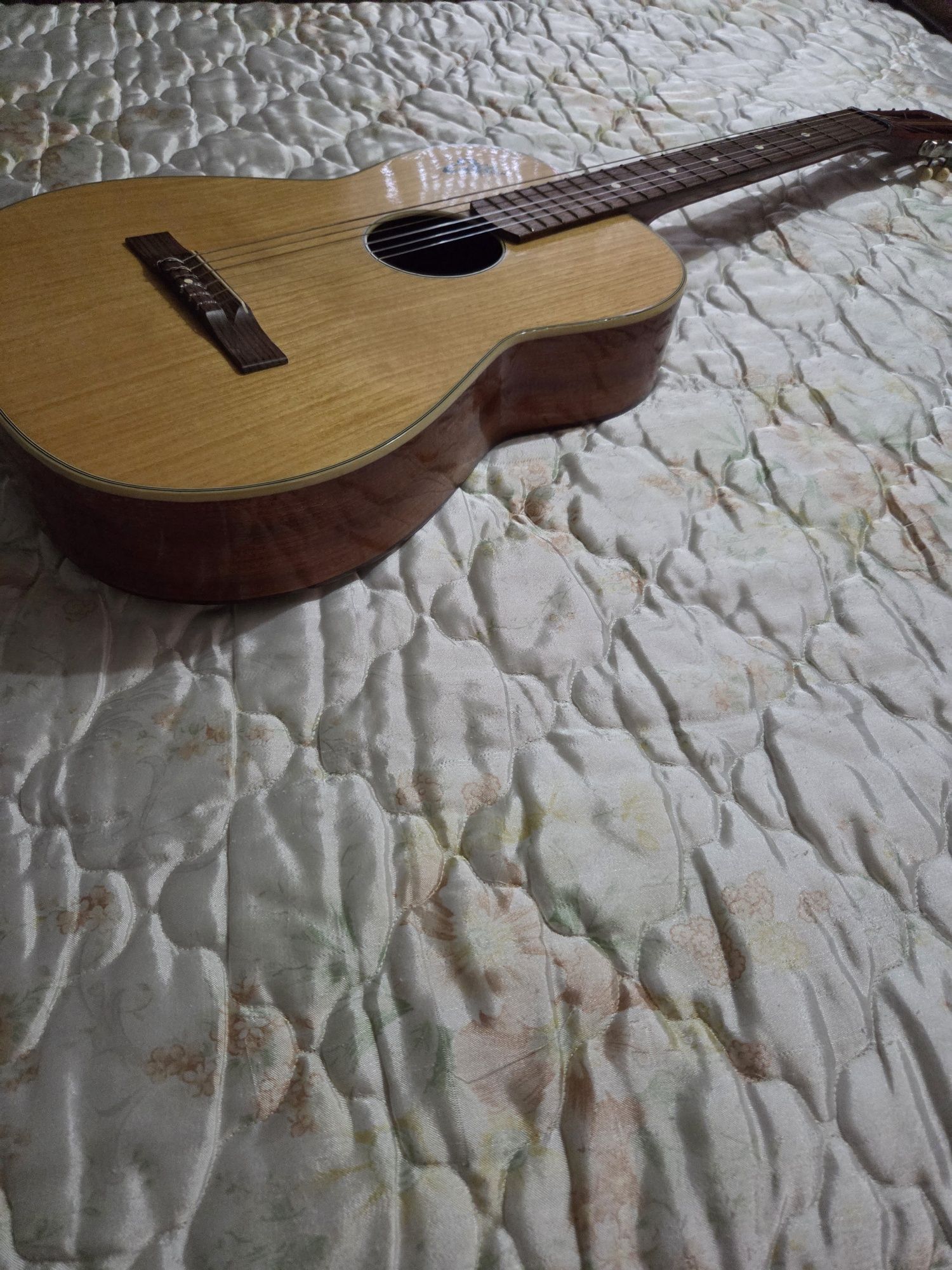 Guitarra (made in Italy)usada
