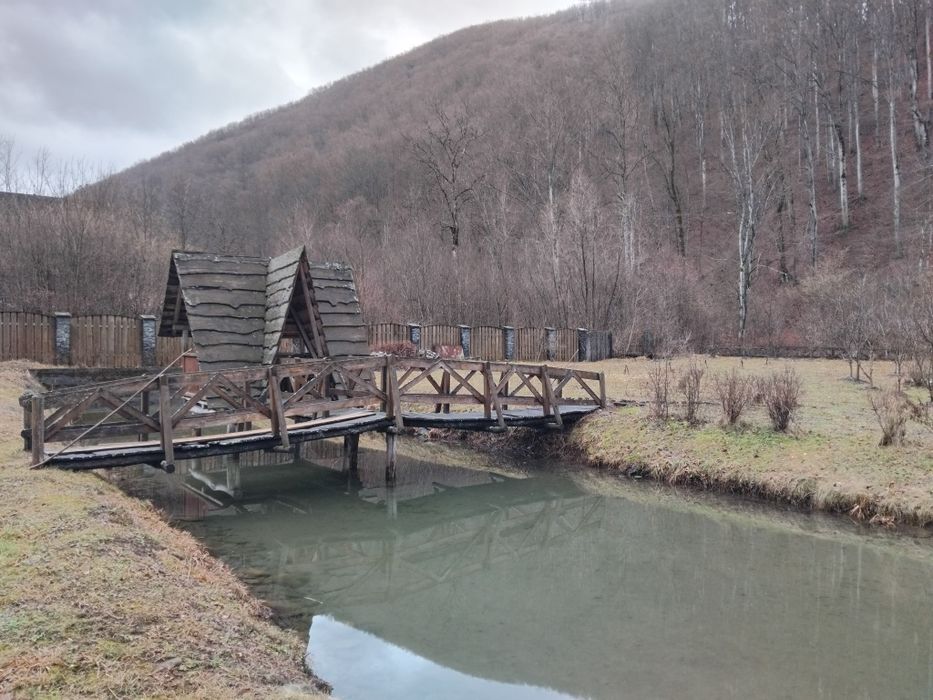 Маєток у горах Карпат с Вовчий Закарпатської області