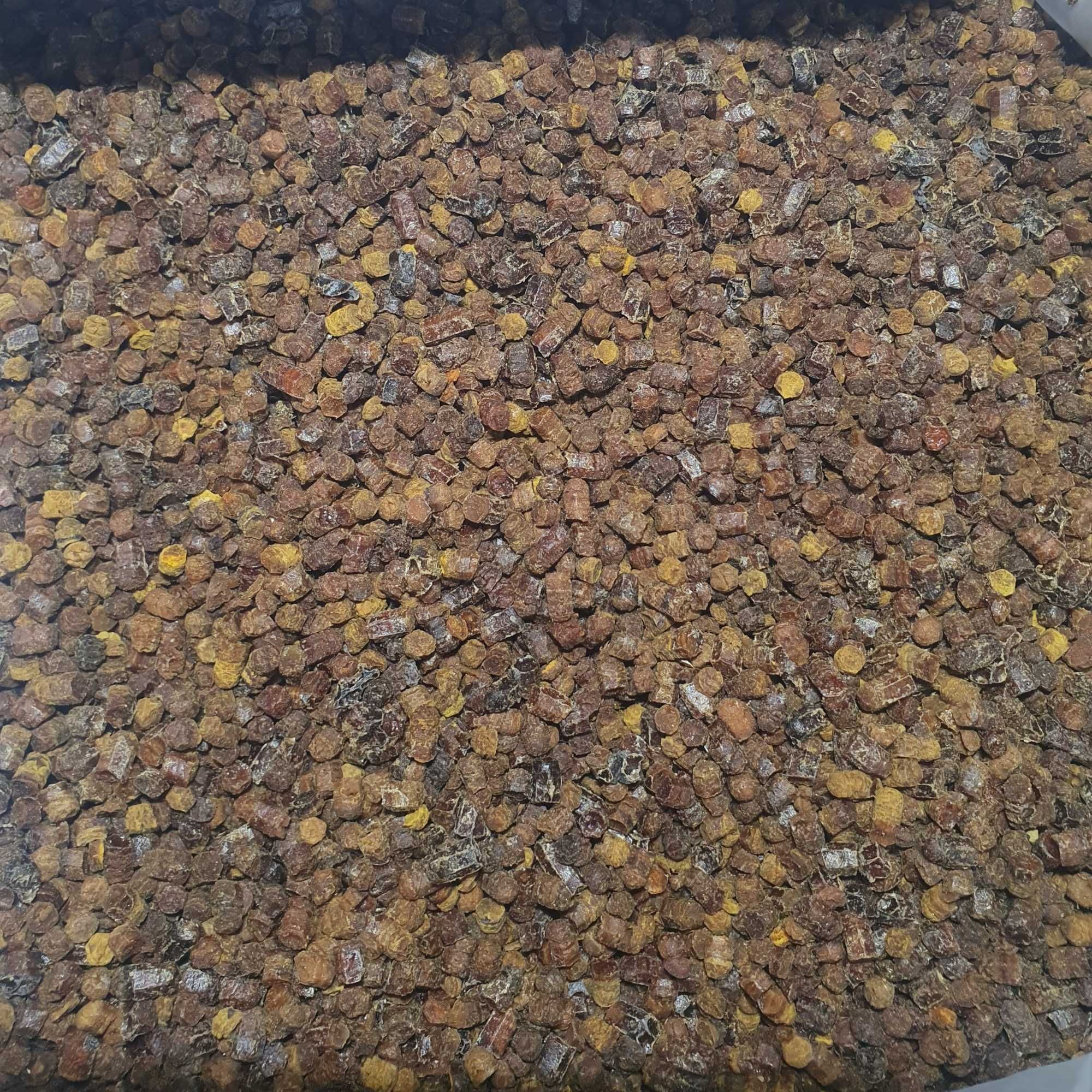 Pierzga Pszczela 100 gram z Polskiej Pasieki