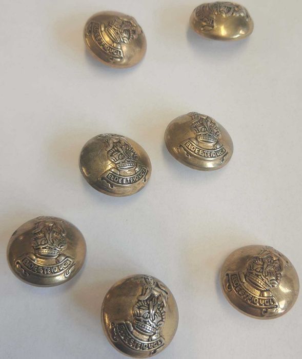 Komplet 7 sztuk guzików plastikowych z wzorem herbu - średnica 20mm