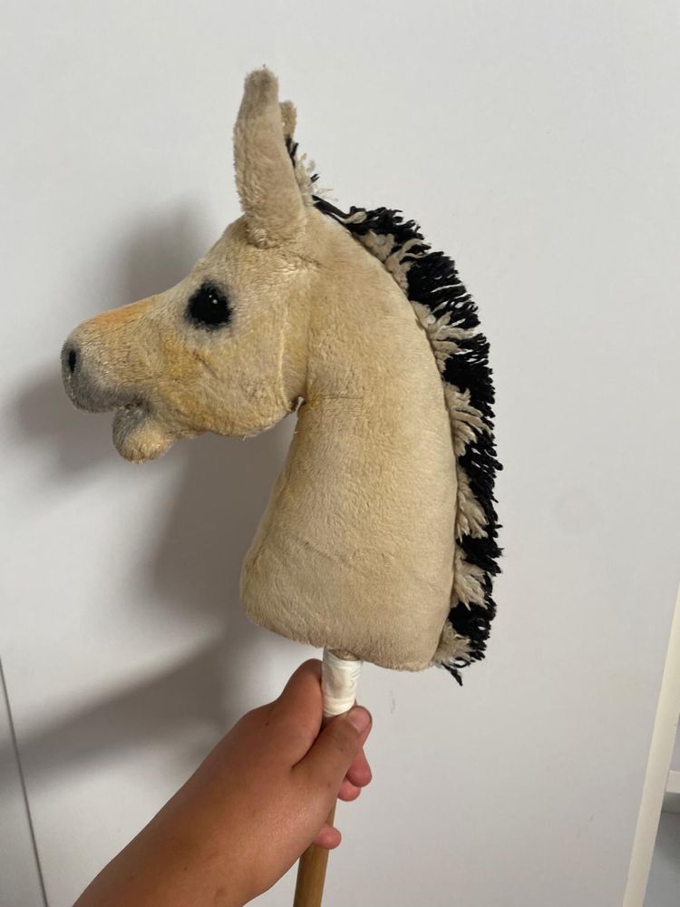 Hobby horse maly