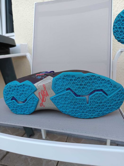 Nike basket LeBron James 11