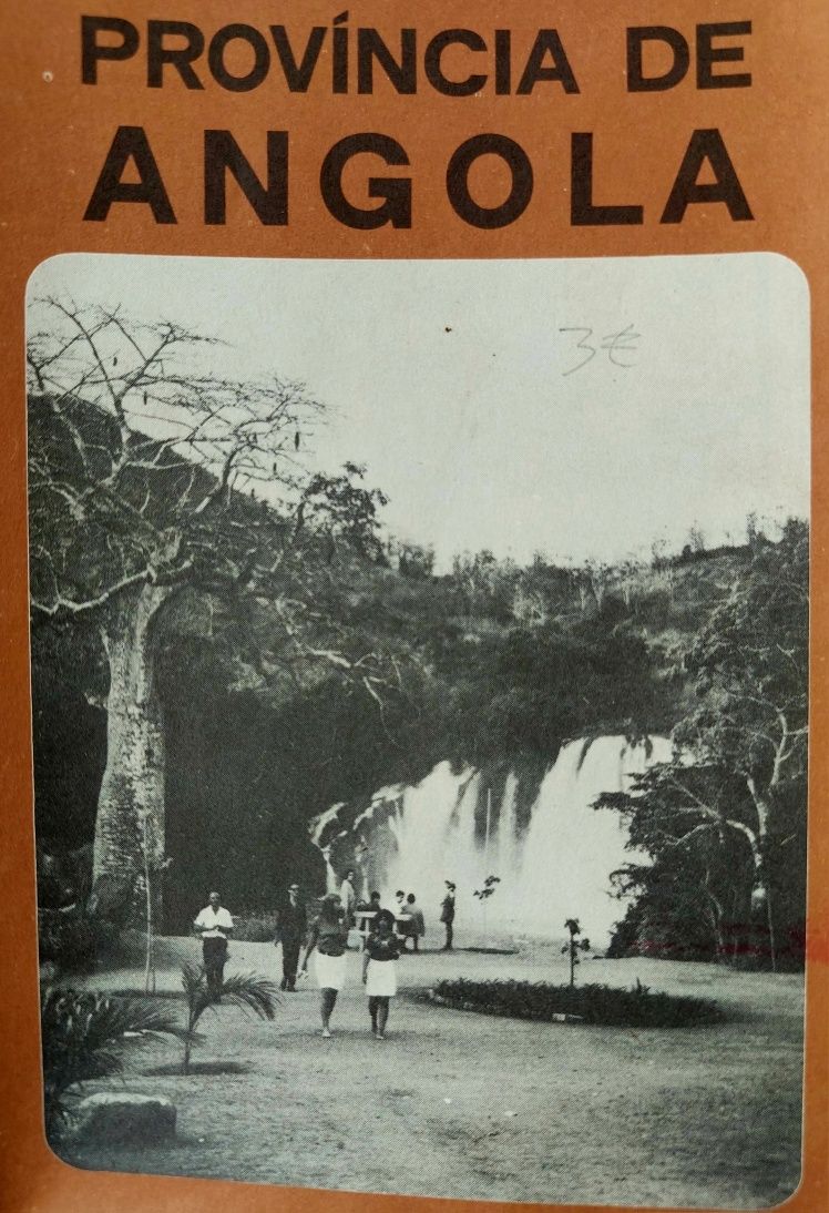 Província de Angola CAFÉ