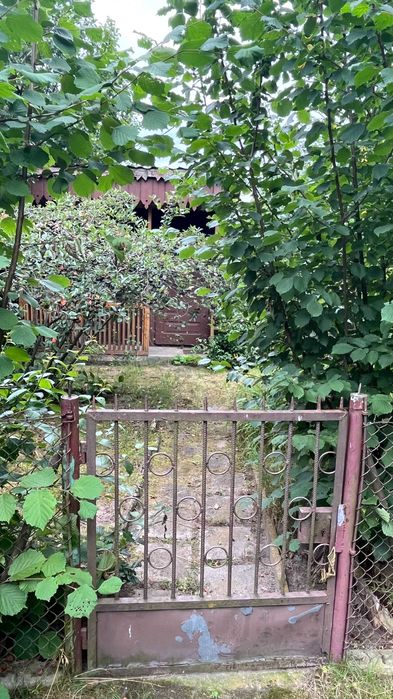 Działka ROD Malwa w Milanówku (ul. Turczynek)