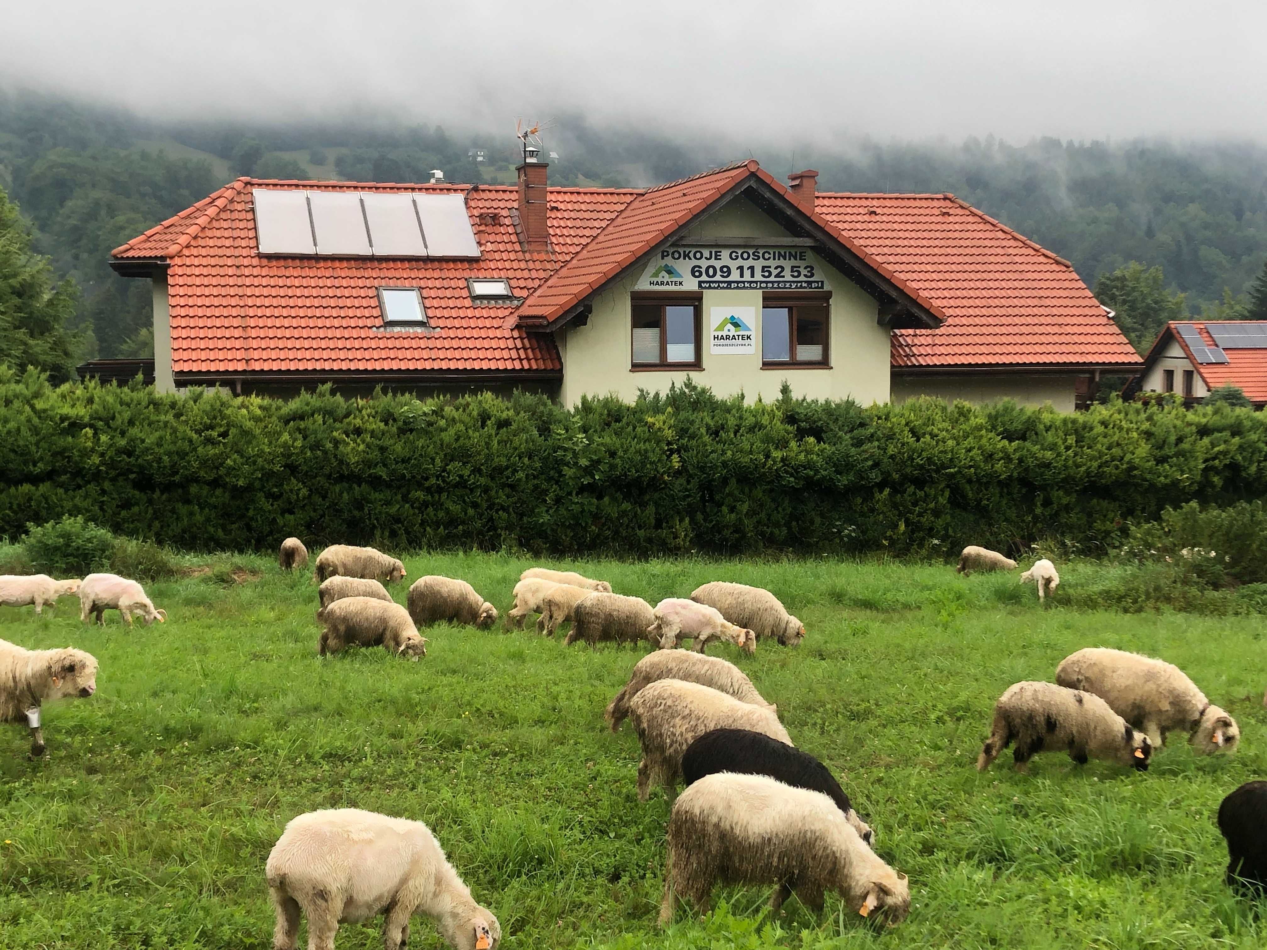 Pokoje Haratek przy gondoli