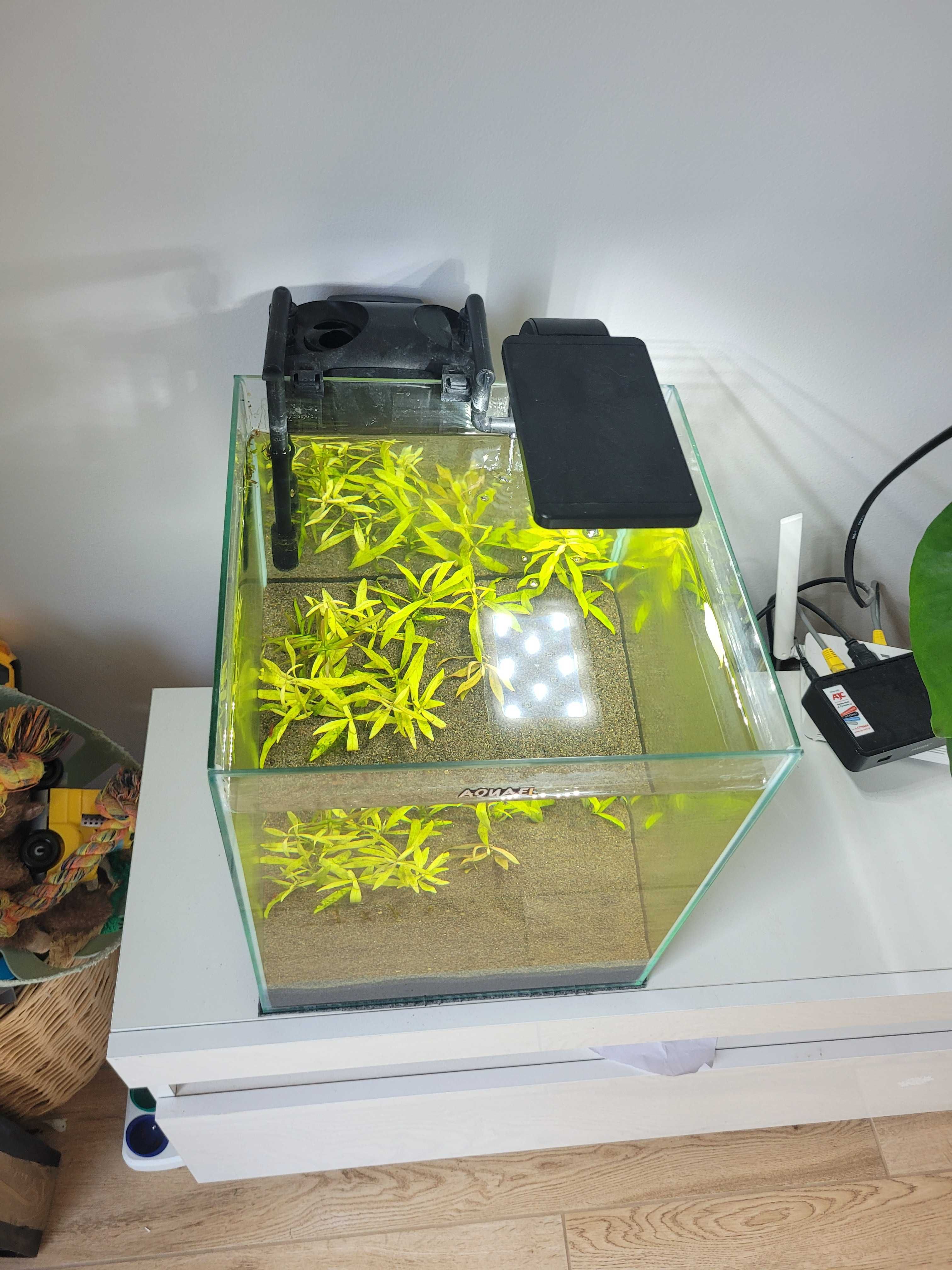 Akwarium Aquael Shrimp Set 30 Day Night
