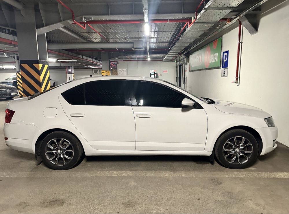 Колеса 205/55R16 Skoda Octavia VRS