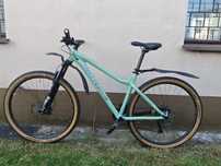 Rower Kross Dust 1.0