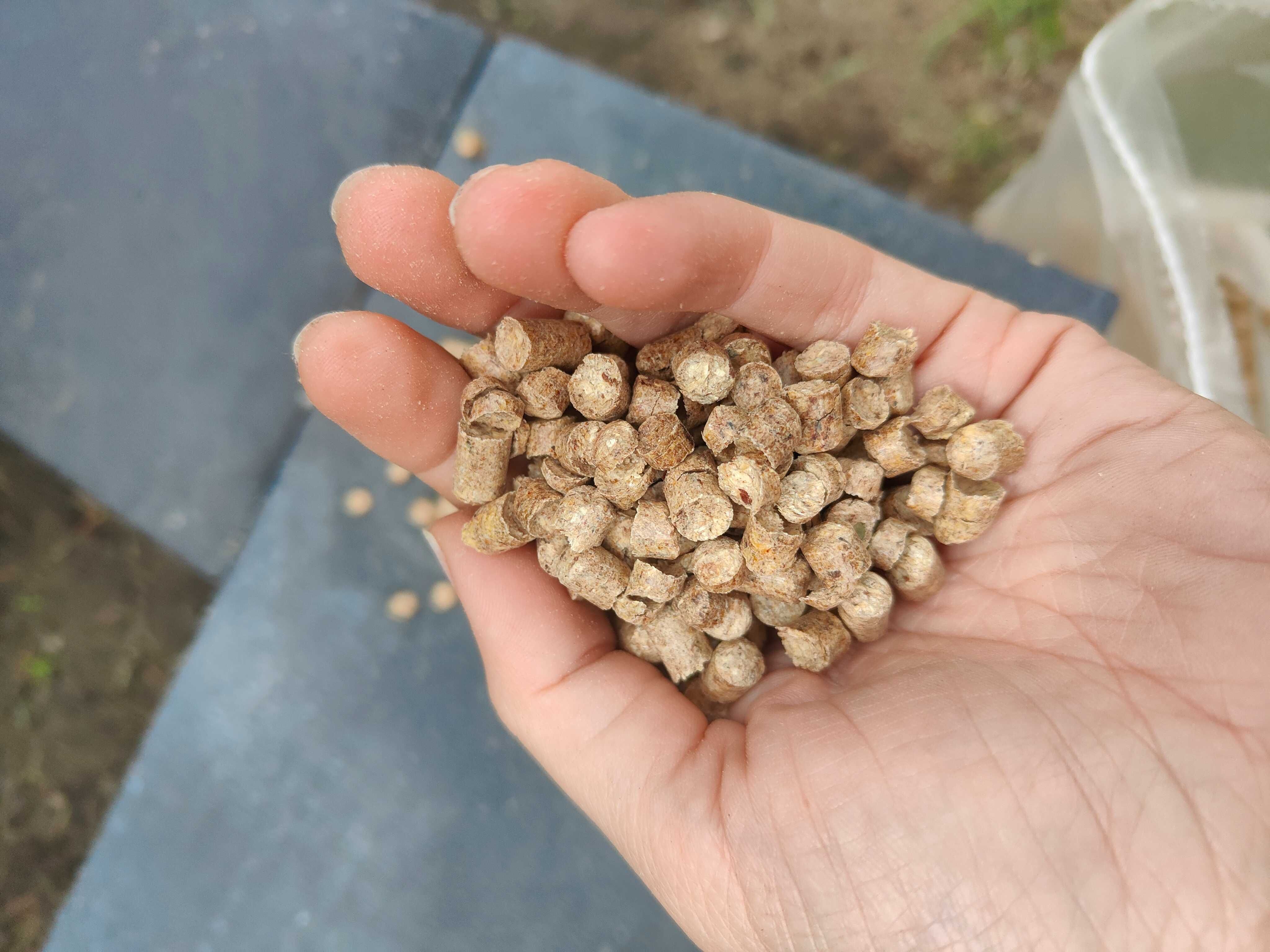 Pellet pelet opałowy 6mm, jasny, wysokokaloryczny