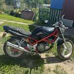 Suzuki Bandit 250