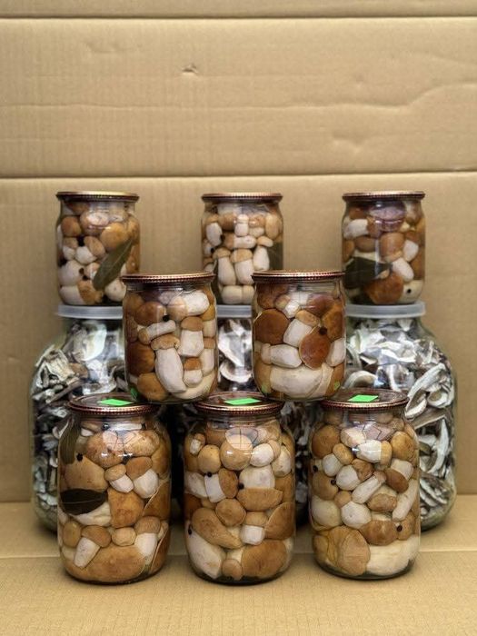 Білі мариновані гриби