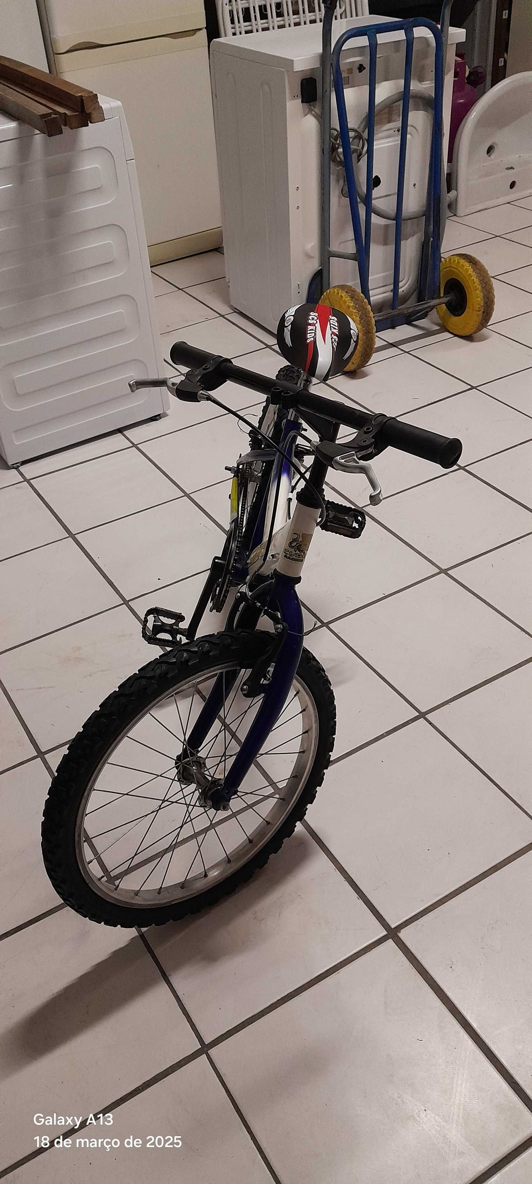 Bicicleta roda 20