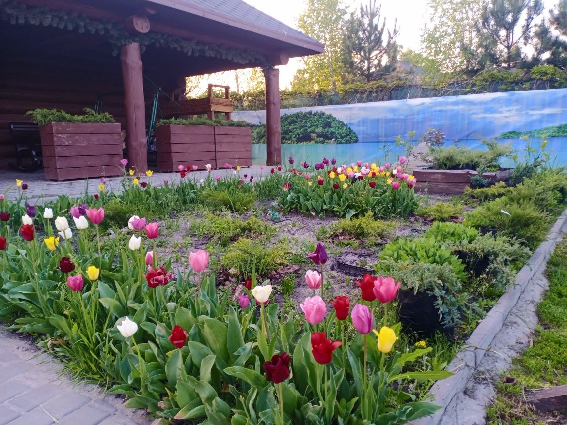 Аренда дома уреки посуточно Новый ЧанБАНЯ-ПАРИЛКА,РЫБ-КА ,Корпоративы