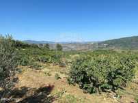 Terreno  para venda