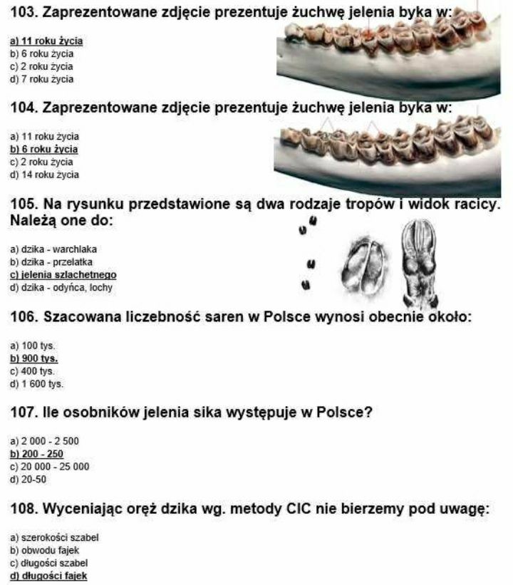 Testy na SELEKCJONERA testy PZŁ łowieckie myśliwskie najnowsze 2024