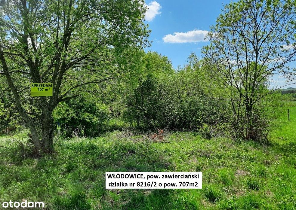 Sale - 10% Włodowice tania dzialka budowlna (plan) 707m2  (K-ce 55km)