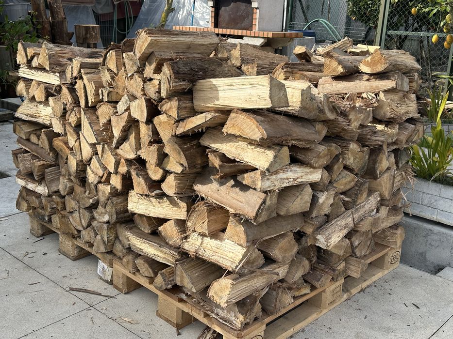 Madeira eucalipto seca pronta para entrega