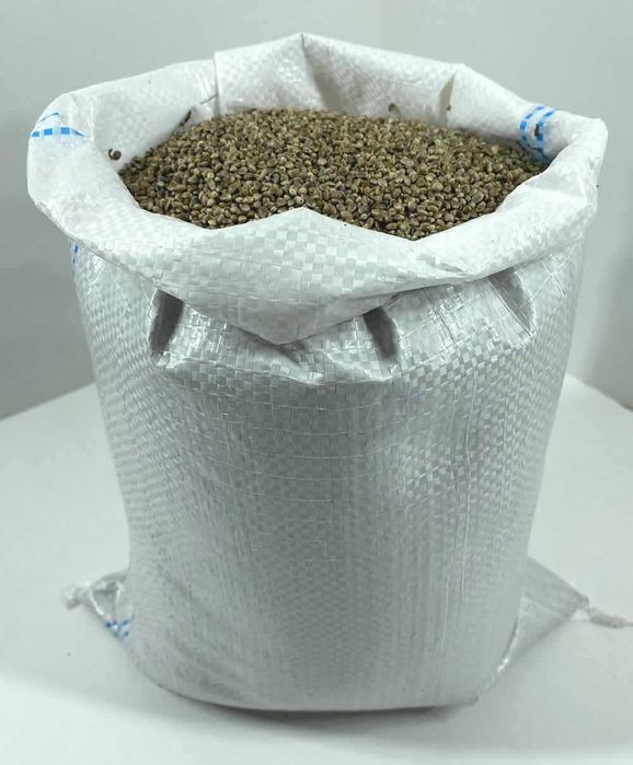 Konopie Siewne na Olej 10 Kg bez Glifosatu Cannabis Sativa Super Food