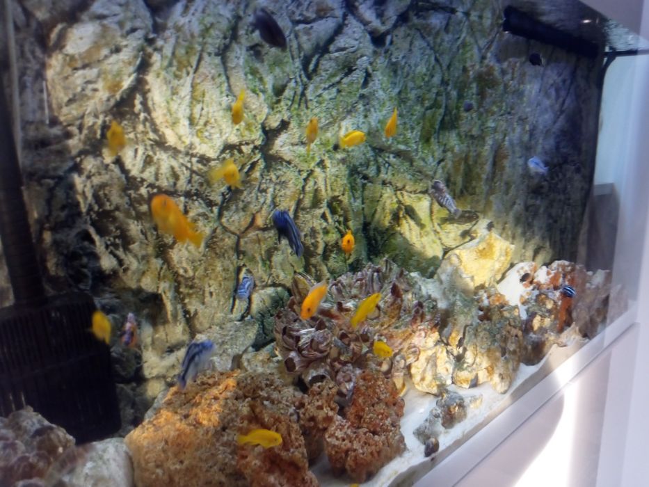 Akwarium Aquael Glossy 260l.