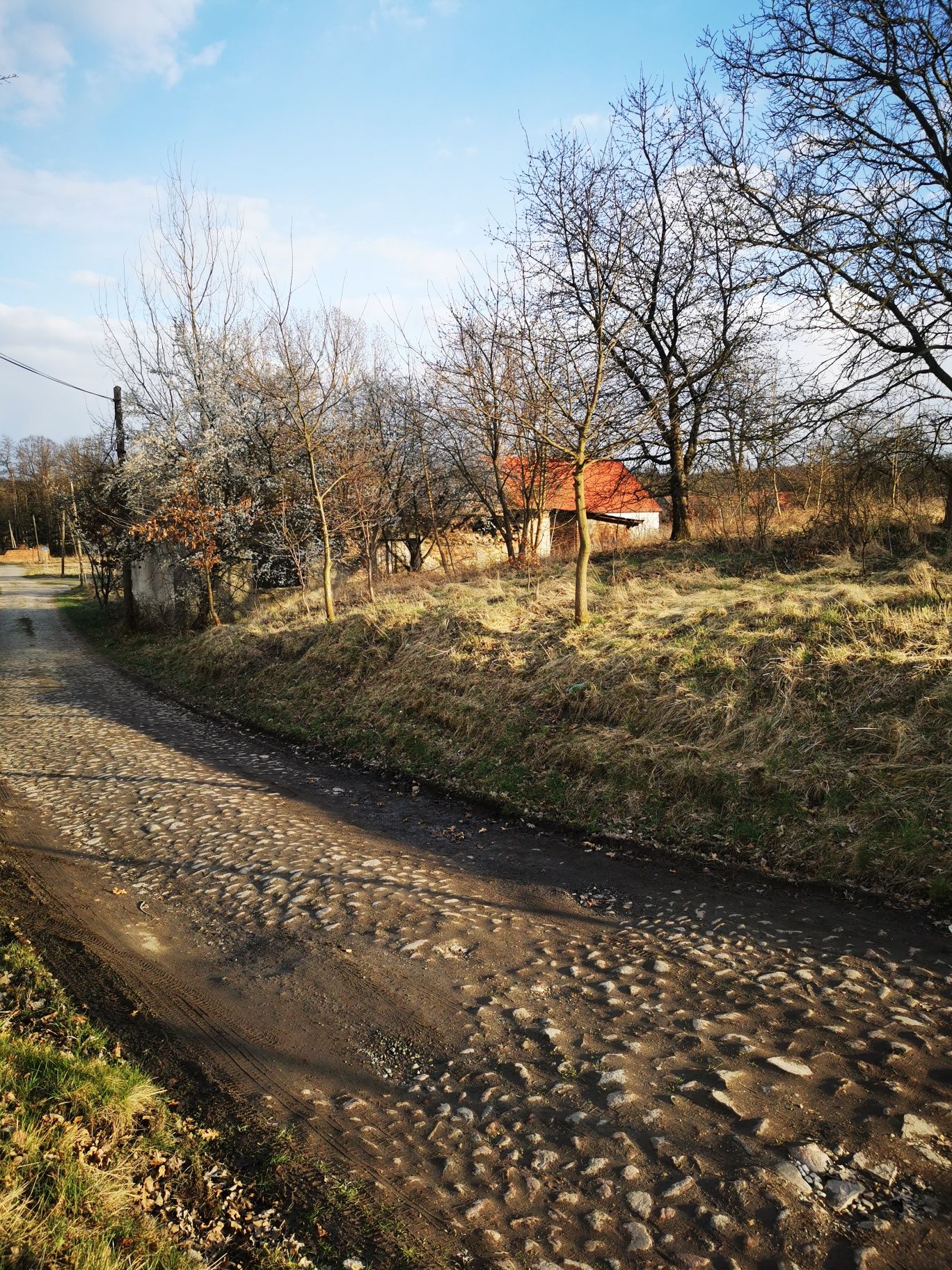 Działka budowlana Popęszyce.