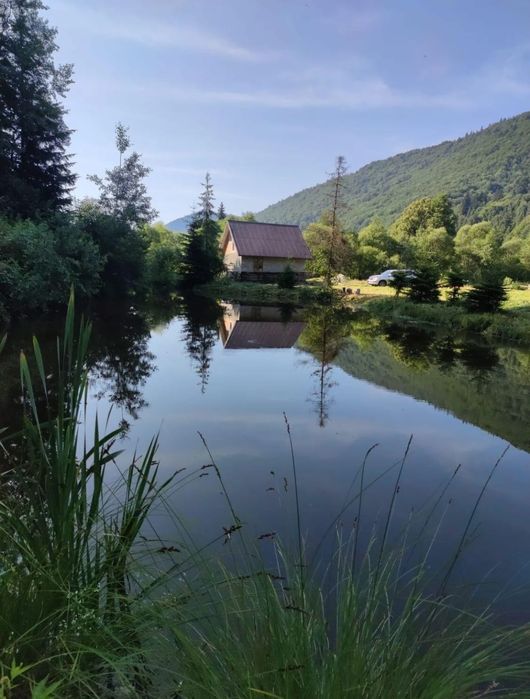 Продам будинок,в карпатах з озером,лісом навколо природа)