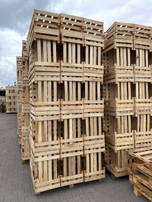 skrzynka, łuszczka-łuszczki na por, kalafior, sałata, rzodkiewka,