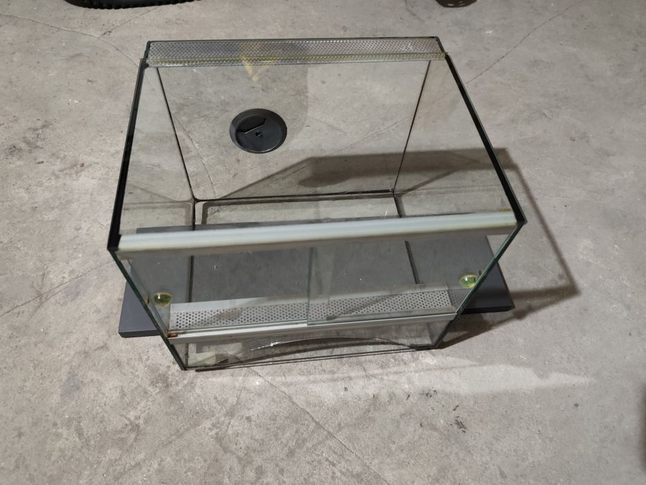 Terrarium dla pająka