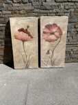 Conjunto 2 Quadros