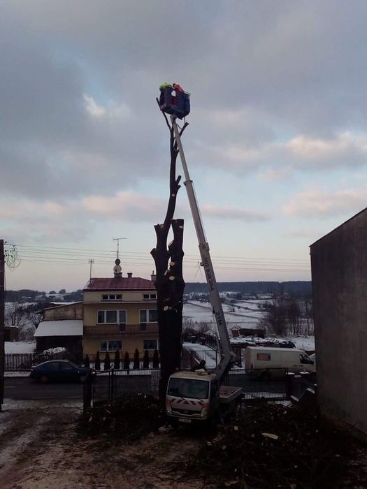 Koszenie trawy, nieużytków, wycinka drzew, frezowanie pni, karczowanie