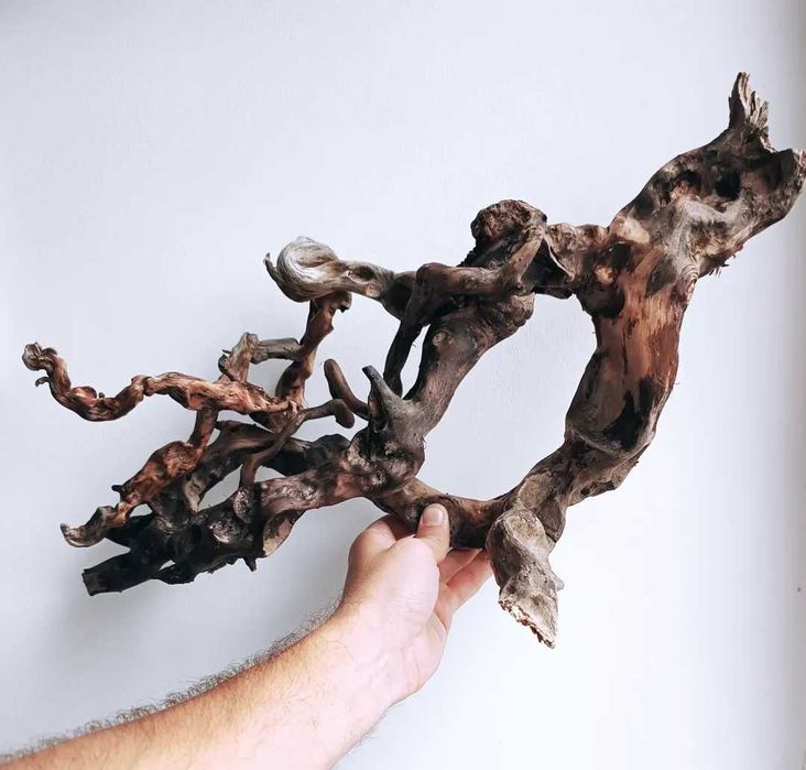 Корчі, коряги, декорації для акваріума/тераріума