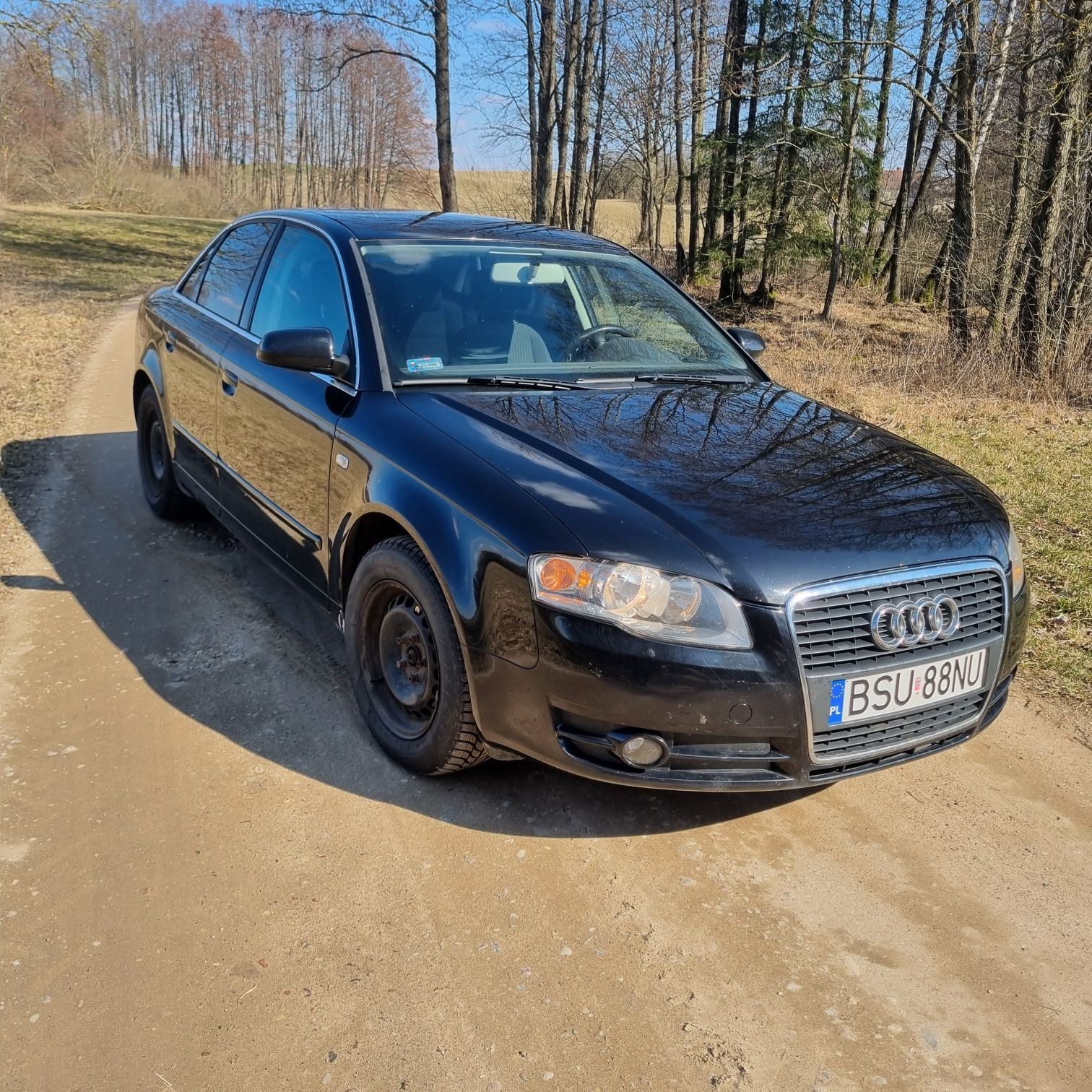 Audi a4 b7 1.9tdi
