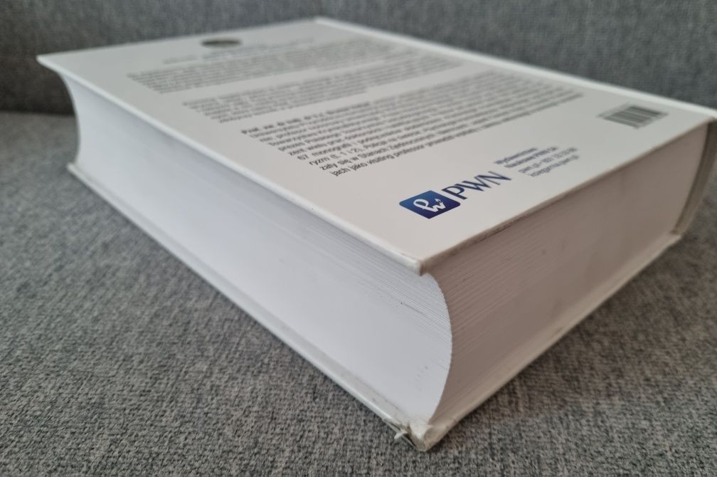 Bezpieczeństwo. Programy promocji. Brunon Hołyst