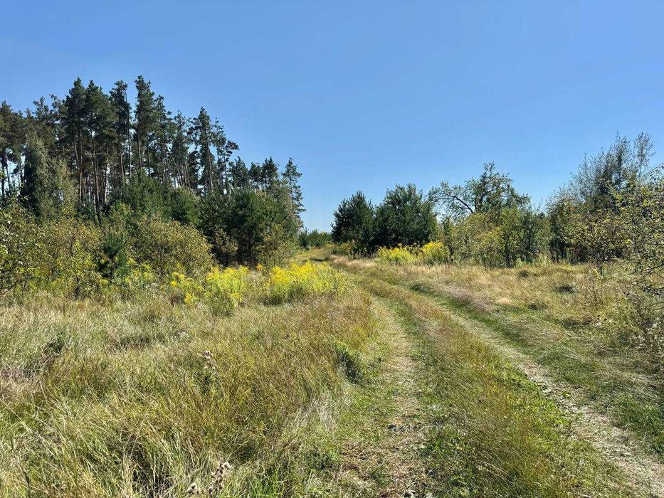 Продаж землі з власним озером під забудову! Прямий вихід в Ліс!