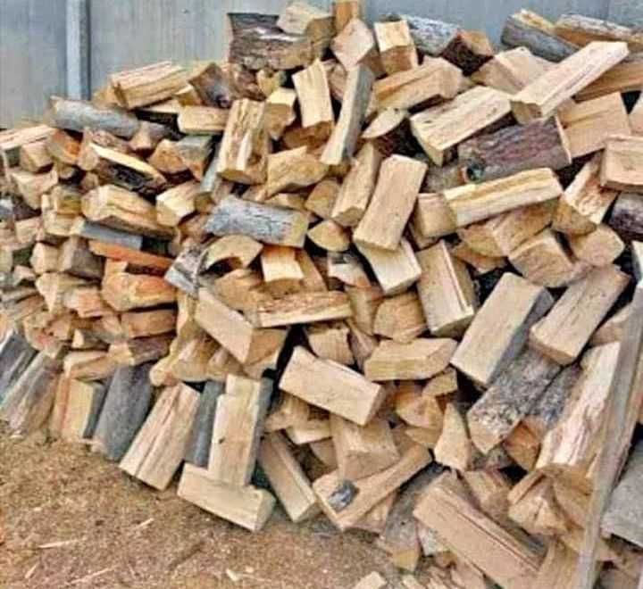Lenha de pinho seca 35€ o metro cúbico