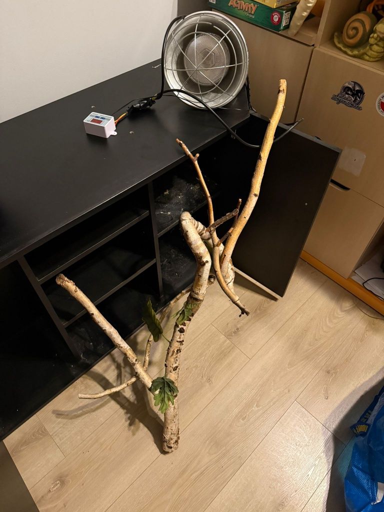 Terrarium 200l gady/płazy