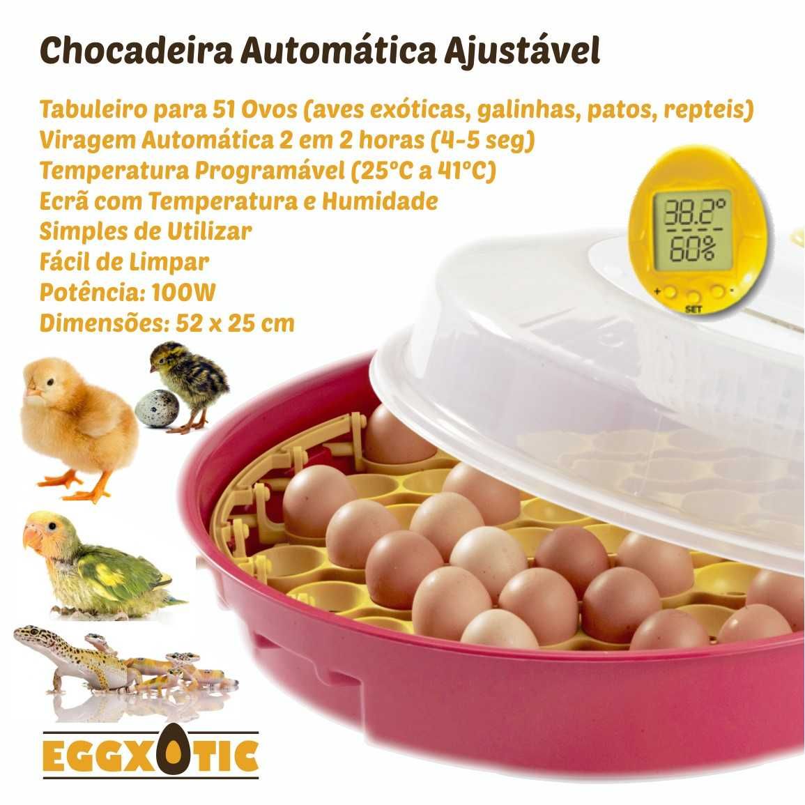 Chocadeira Automática com humidade - Galinhas, Aves Exóticas e Reptéis